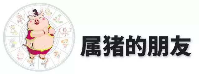 2019年易奇文化十二生肖一周运势,风水生肖运势2018