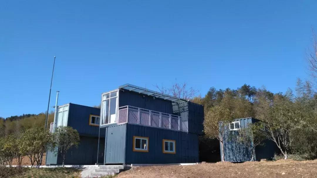 丁磊养的猪有什么,为什么丁磊喜欢养猪