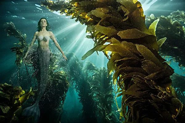 美人鱼水下课程,美人鱼海洋课程