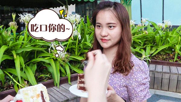 为了这家蛋糕店,我想每天过生日