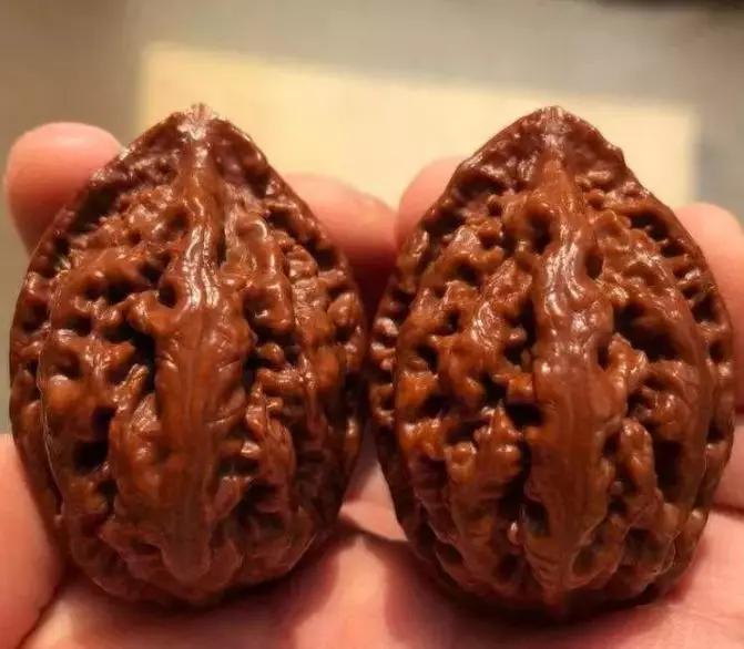 文玩核桃分类及特征,文玩核桃的种类和特点