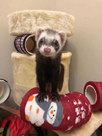 装修房子从头到尾避坑指南,房子装修避坑攻略