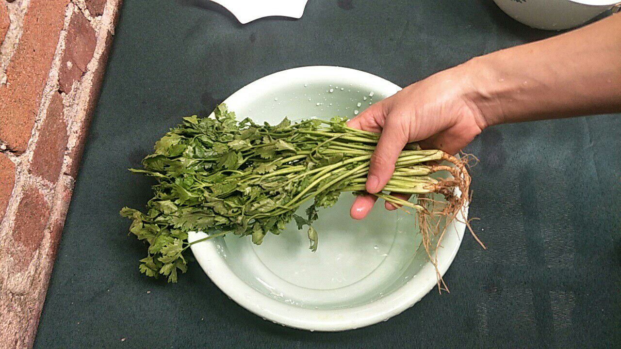 蔬菜发蔫，用这一招绝了，蔬菜立马变得新鲜有活力，赶紧回家试试