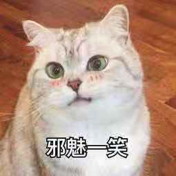 魔兽世界2019打折季怎么又延期了,魔兽世界2019新年打折季有什么