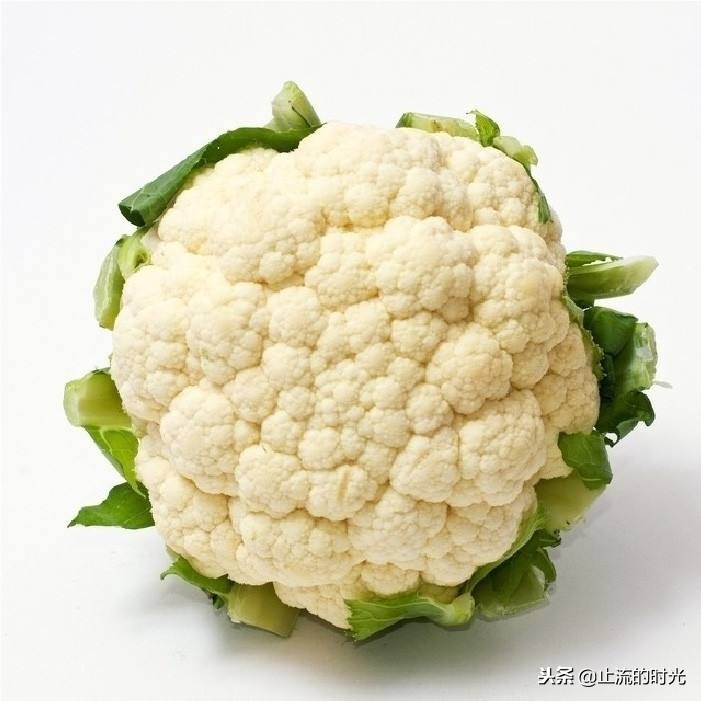 这些多肉有香味你都闻到过吗,这八种多肉每一个都是国宝级的