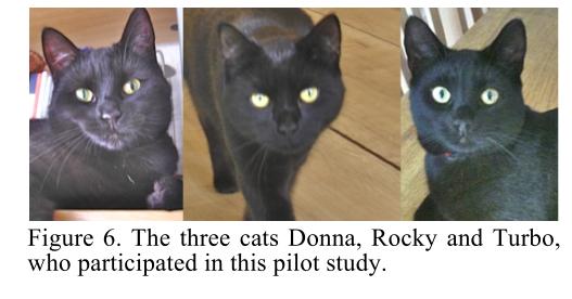 第20届搞笑诺贝尔奖,2019第29届搞笑诺贝尔奖揭晓