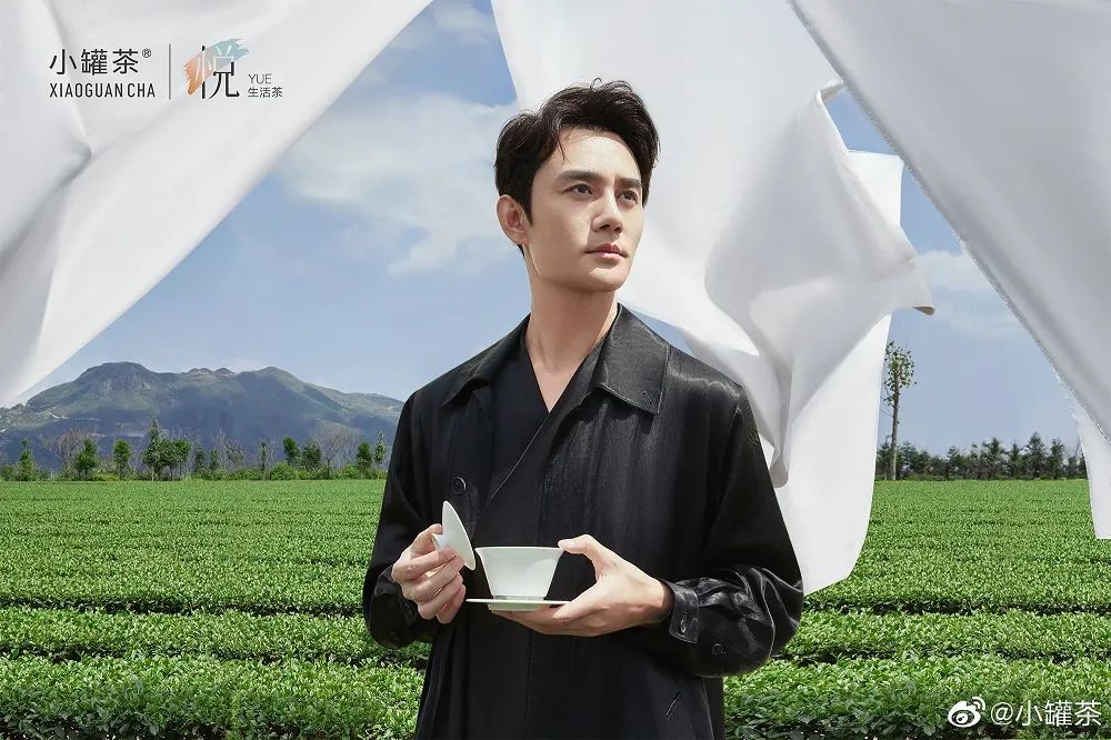 双十一明星代言销量排行,双十一明星代言数据