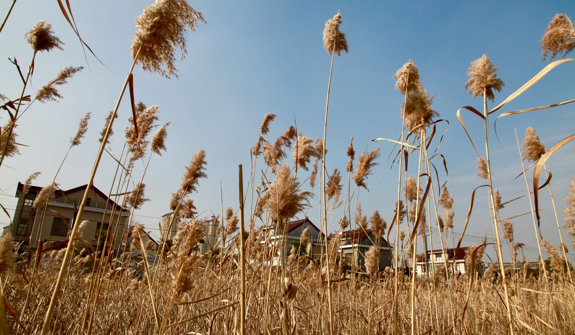 海安各个镇gdp,海安gdp为什么那么厉害