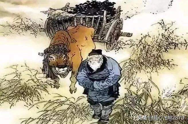 卖炭翁教案板书设计,卖炭翁教学课件