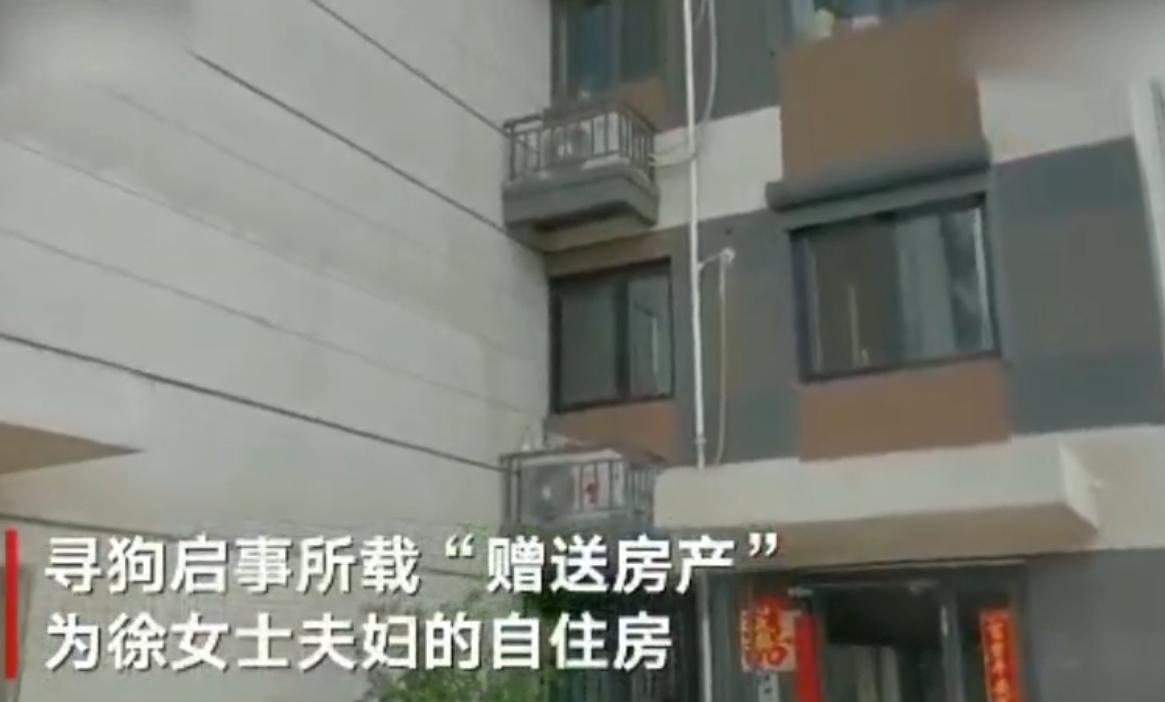 “寻狗赠房”系打印错误？北京寻狗赠房狗主人回应：因天黑没看就贴了，半夜接到三百个电话