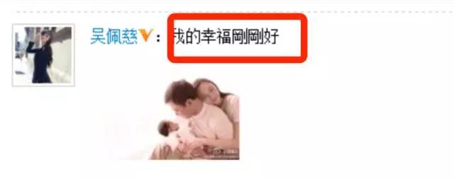 吴佩慈纪晓波不结婚原因,吴佩慈纪晓波是如何认识的