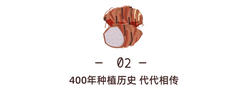 荔浦芋头蛋糕为什么火,荔浦芋头为什么煮了很久还是脆的