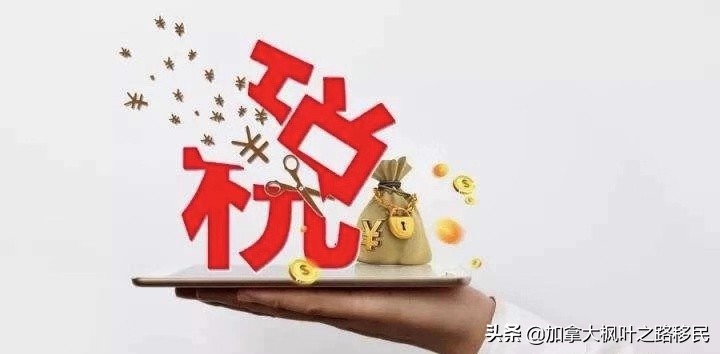 一文看懂个人所得税法,一图读懂加拿大个人所得税