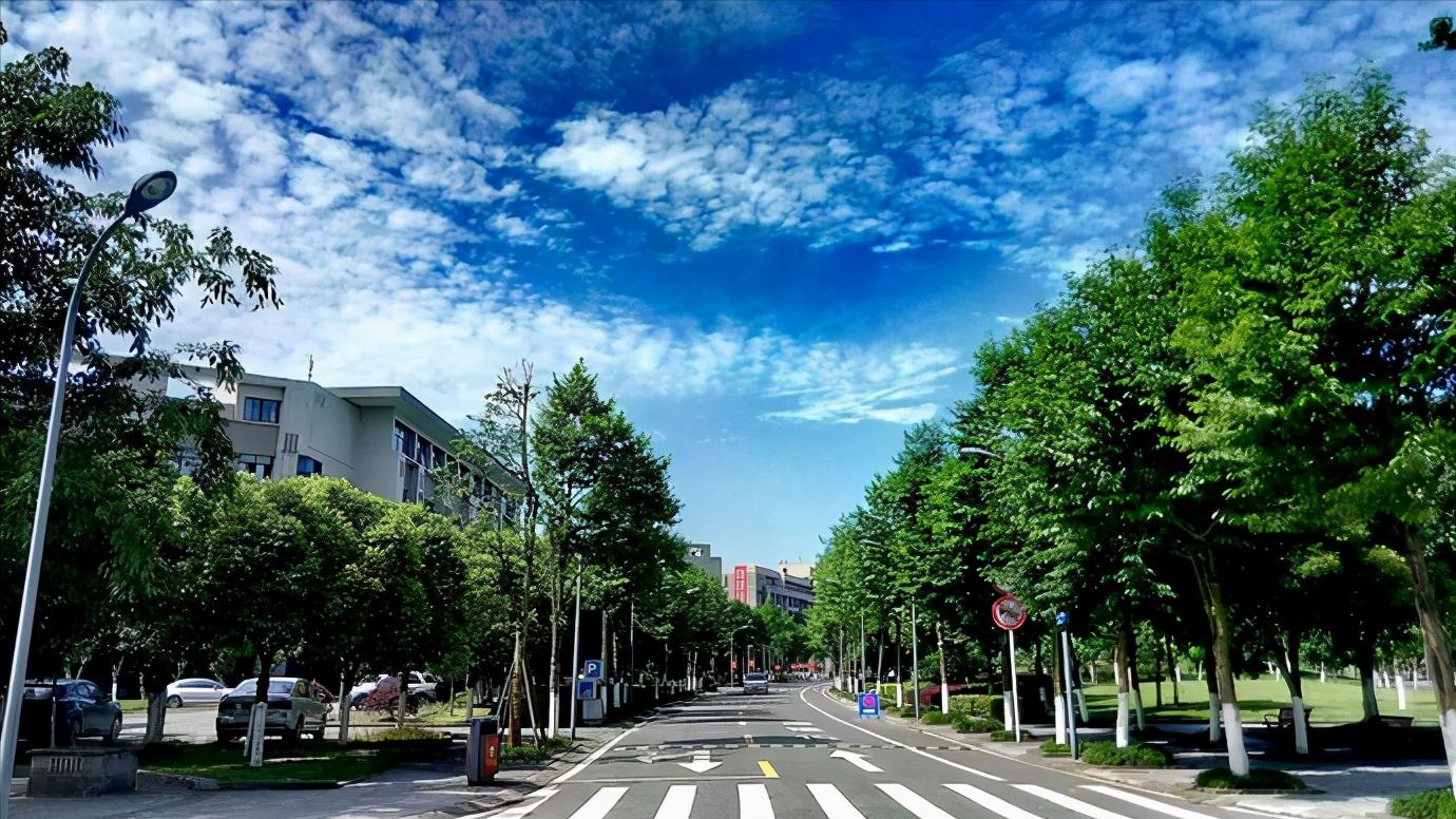 重庆驾驶证交通信息卡必须办吗,现在开车不带行驶证驾驶证可以吗