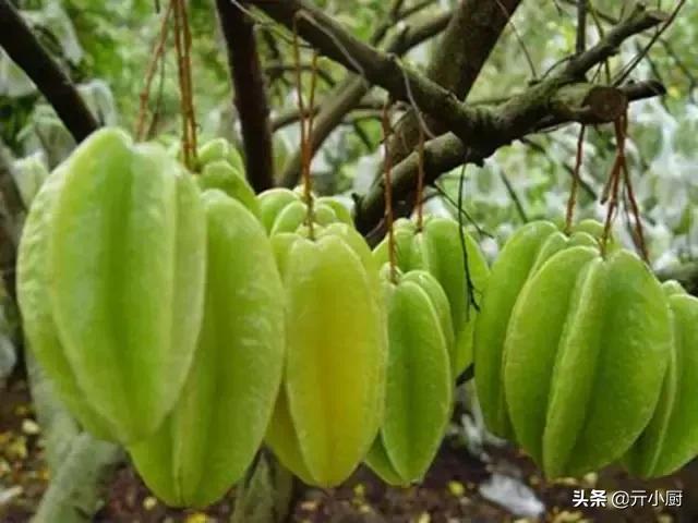 三亚有什么特产带回家送礼的,三亚有特产去哪里买便宜又好