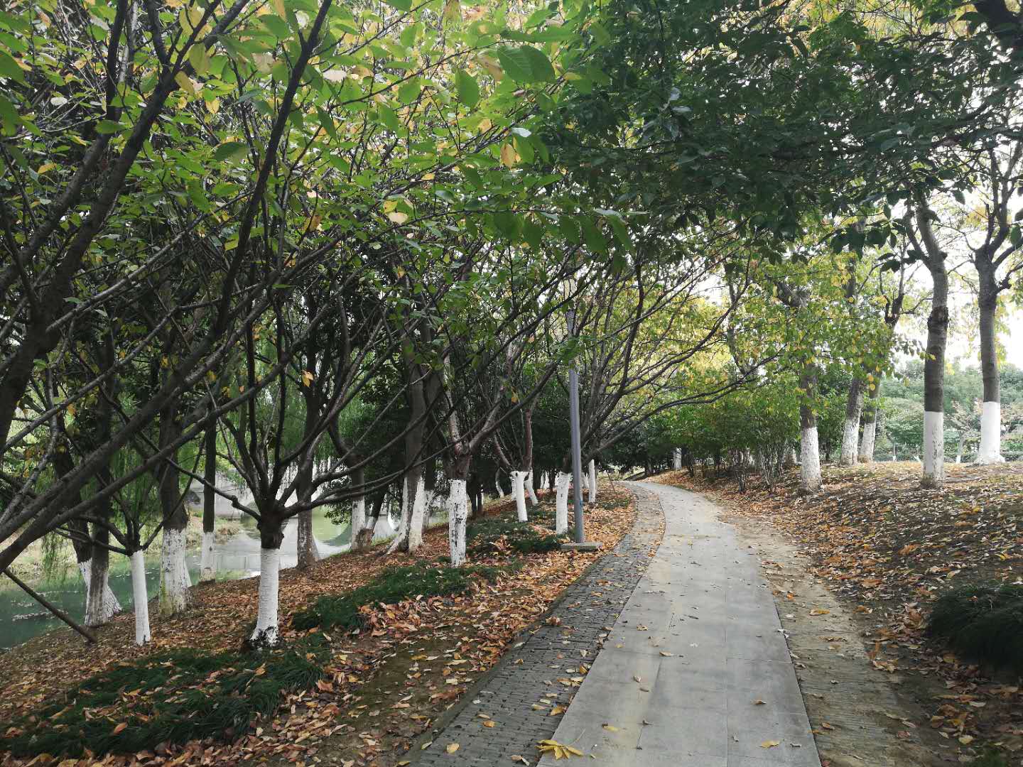 徒步无锡古运河寻找美景,无锡最美沿太湖路线