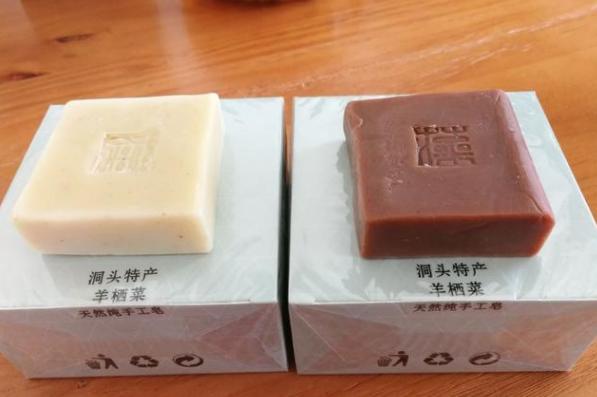 日本海中灵芝产量 (海灵芝为什么这么贵)