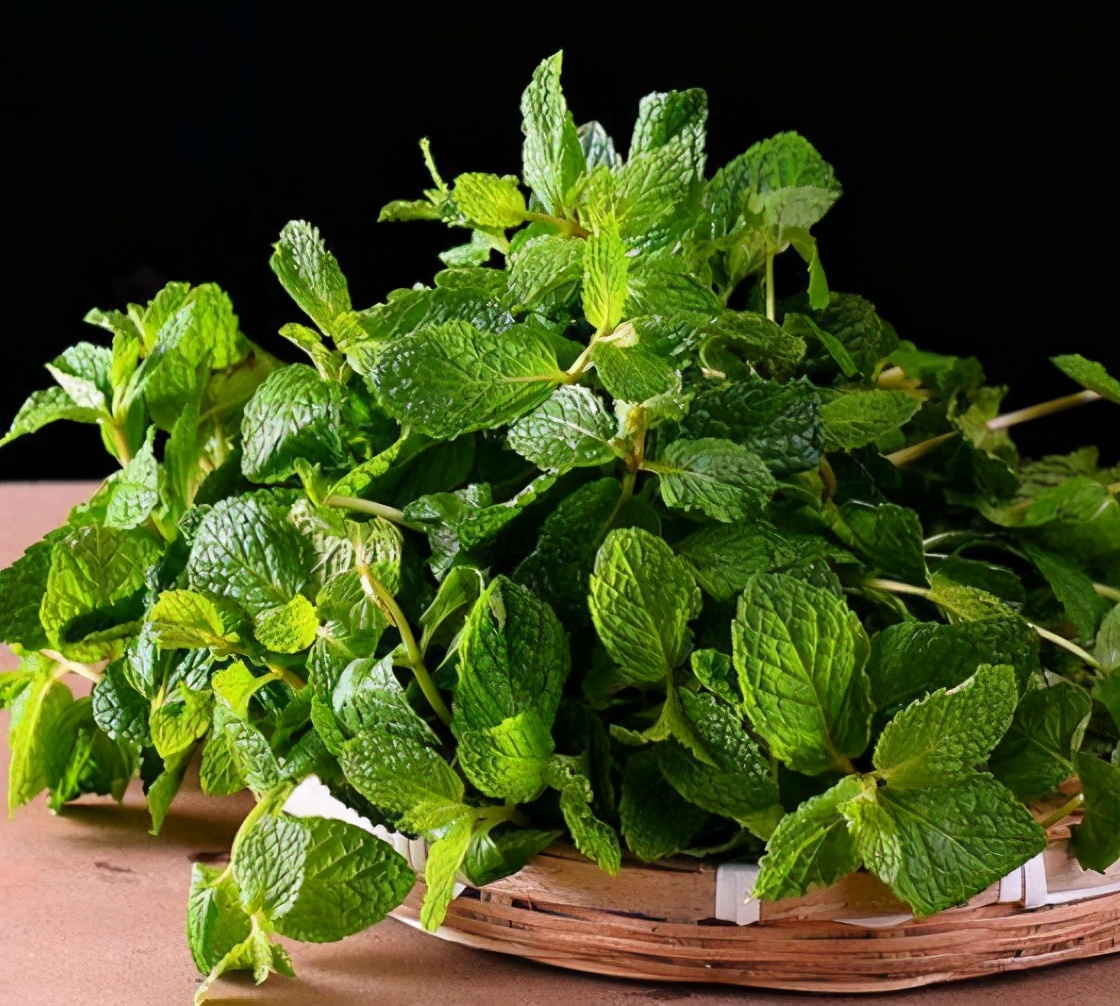 钖勮嵎濡備綍闃叉绐滈珮,鍐閬垮厤钖勮嵎寰掗暱