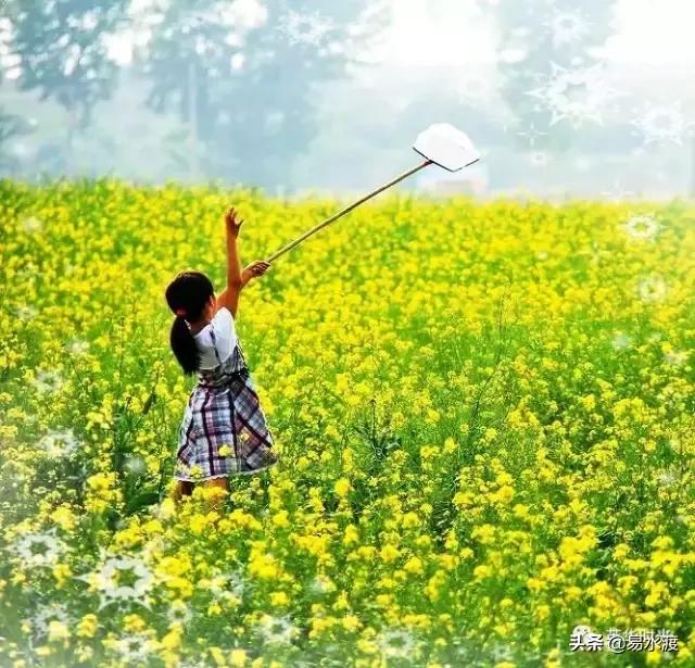 易县好看的视频,易县哪儿的好看