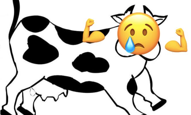 被「禁」两次的免疫力之王：依旧被家长们抢购