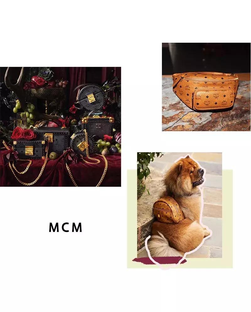 入门轻奢包,入门轻奢包买蔻驰还是mk