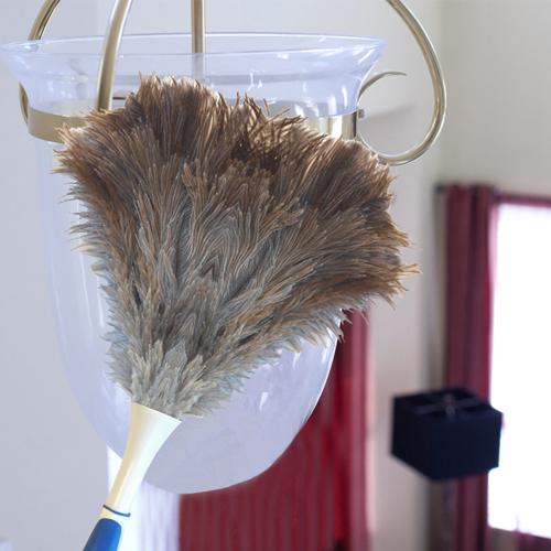 家里的灰尘清除工具,家里灰尘大用什么神器