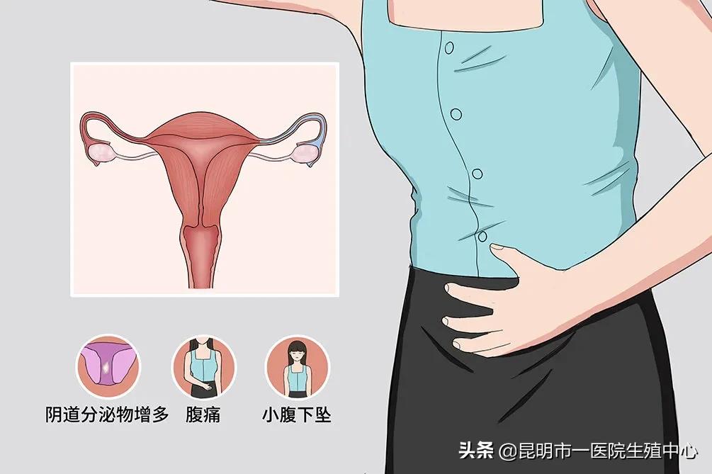 查出子宫肌瘤还能做试管吗,子宫肌瘤12cm手术后多久可以怀孕