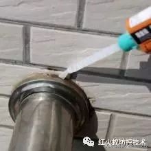 蚂蚁进屋怎么驱赶,蚂蚁进家了用什么能赶走