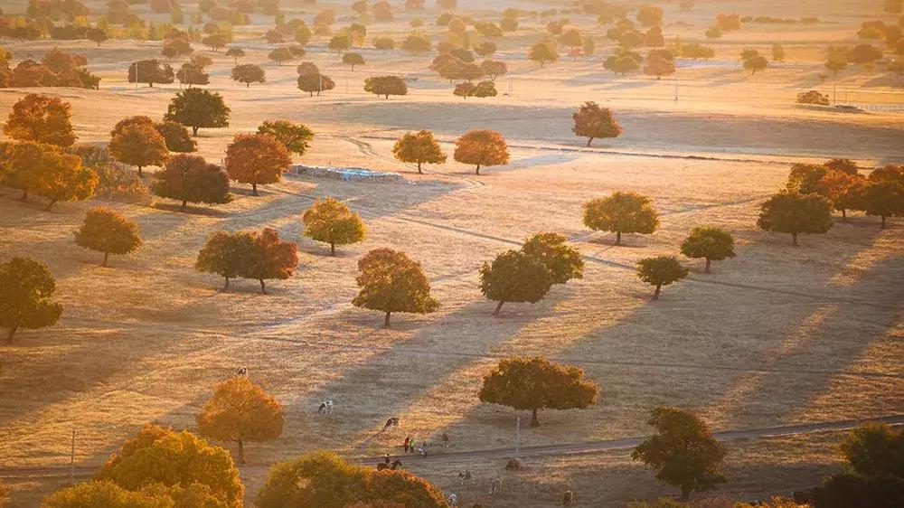 10月旅行地推荐最适合初秋出游,10月最适合慢慢旅游的地方
