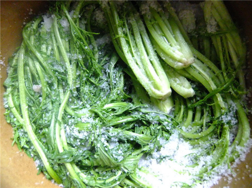 跟妈妈一起腌酱菜,跟妈妈学的老式腌菜