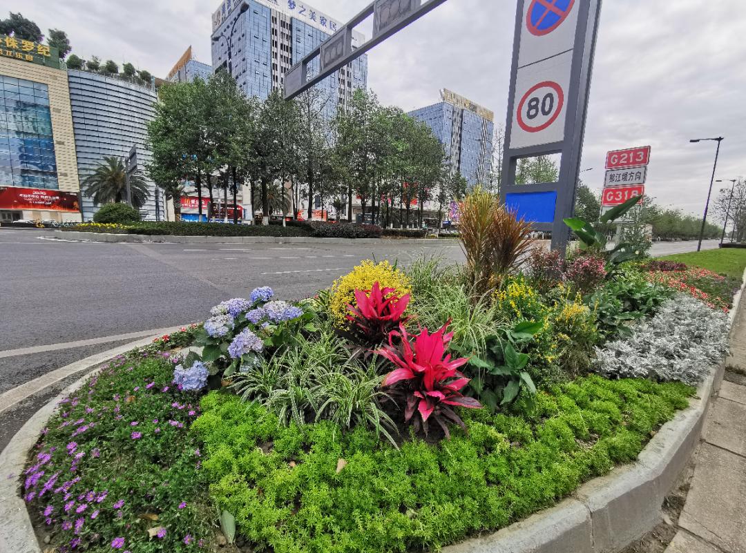 双流周边踏青赏花,踏春赏花成都这些地方值得去看看