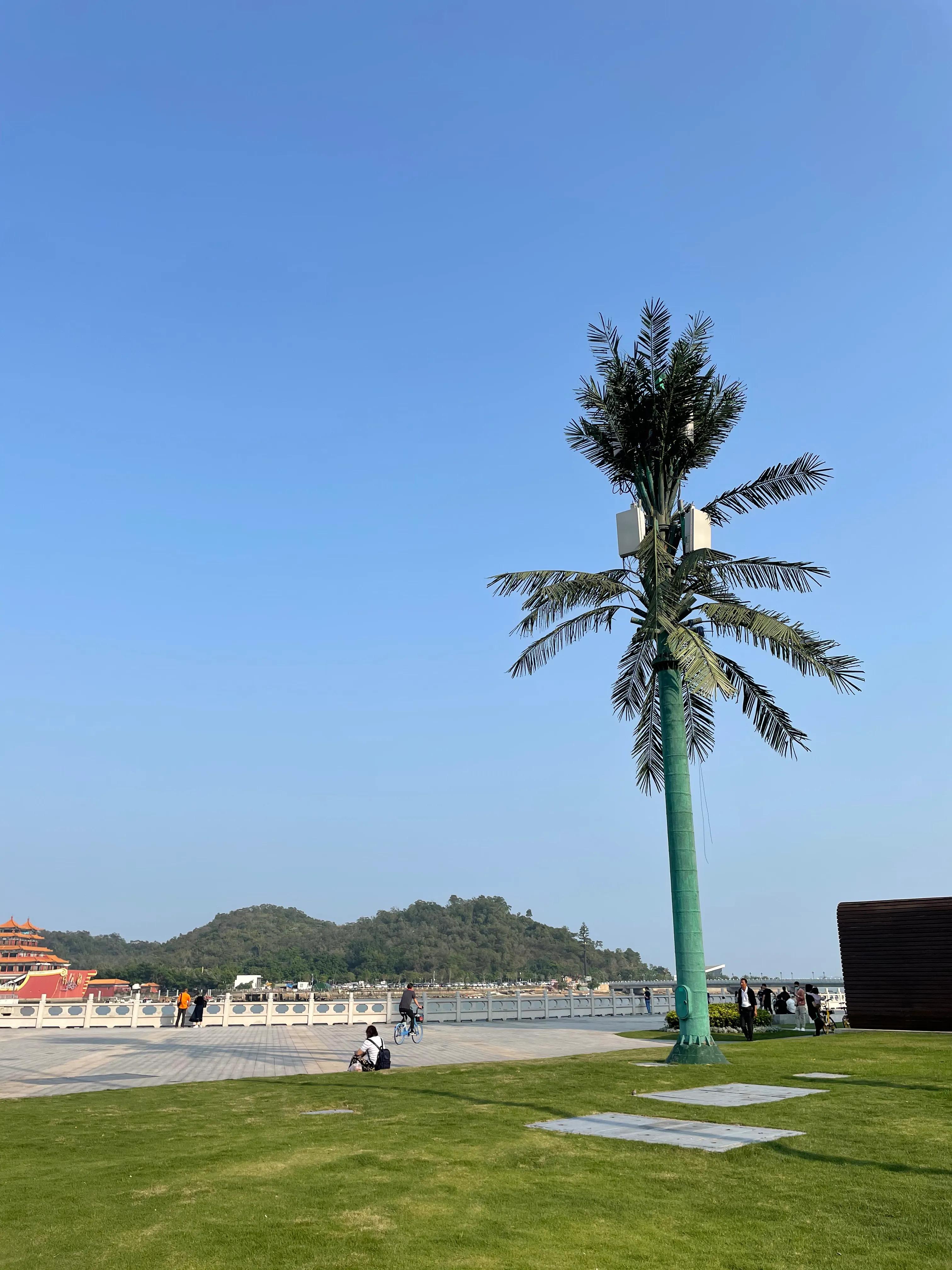 珠海适合情侣玩的浪漫景点,珠海附近浪漫的风景