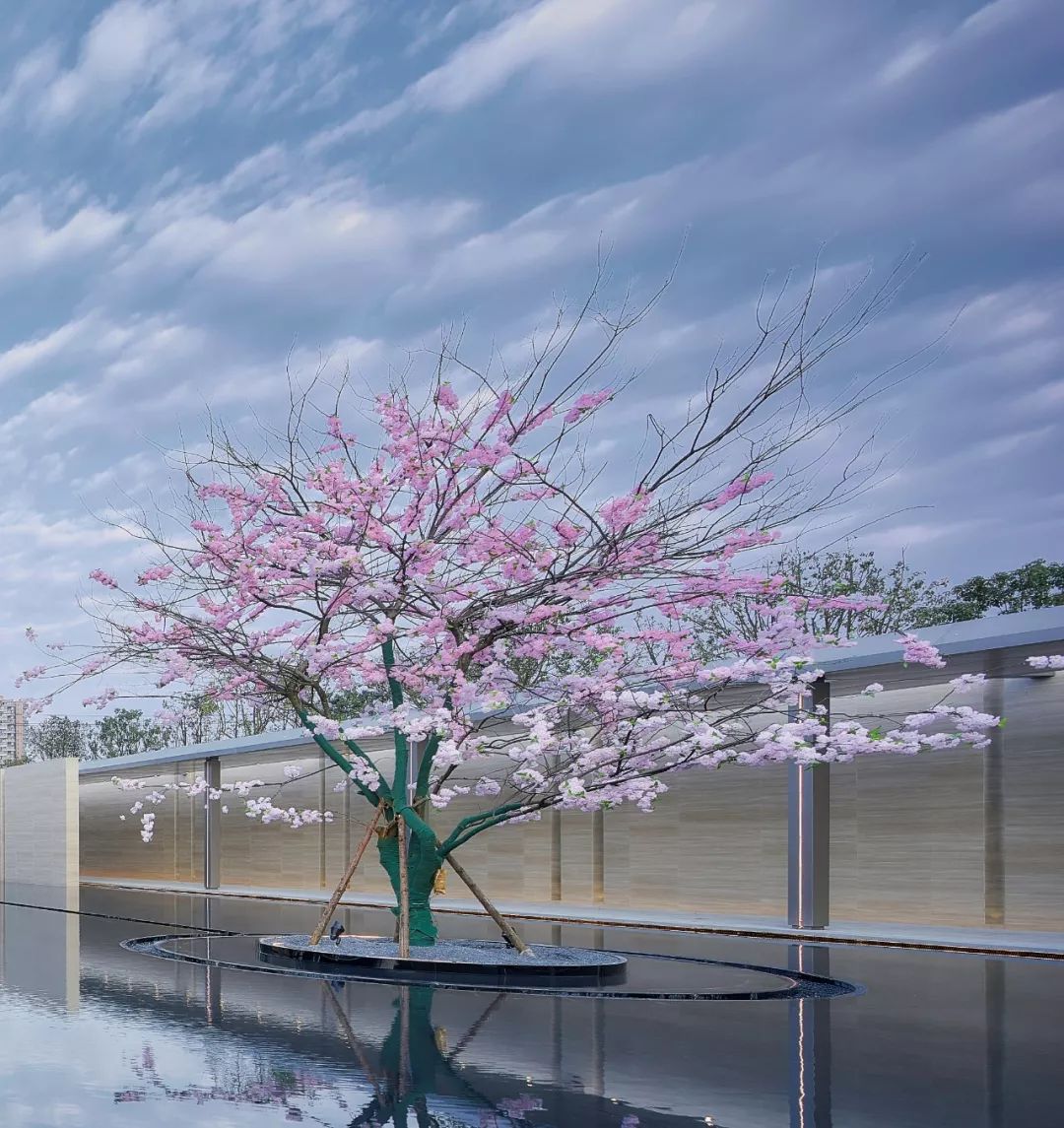 龙泉4大冷门赏桃线路出炉，向东60里遇见一座城市桃花源！