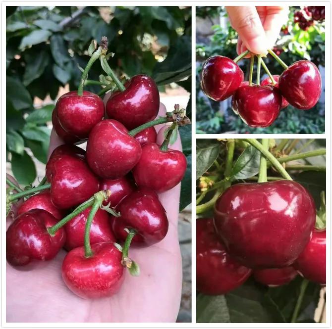 农村穷小子到一亩田榜一大哥，年入300万水果大王张福生的生意经