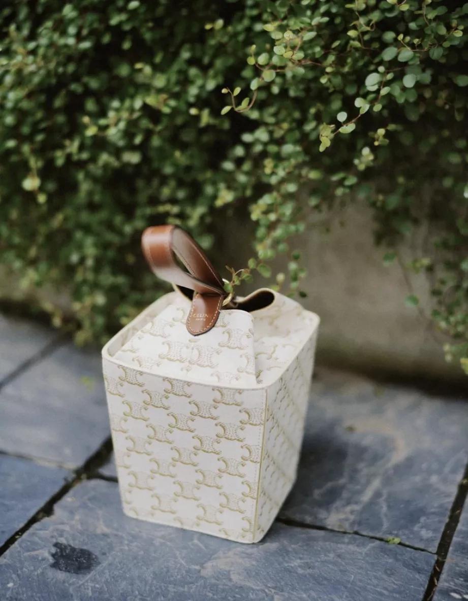 celine十大最值得买的款,celine新品2022