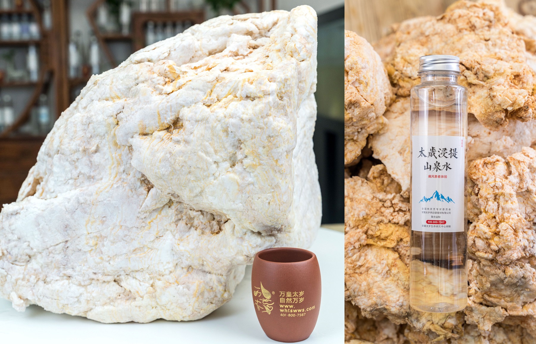 专访万皇太岁王大玮:传播太岁价值,践行药食同源,弘扬传统文化