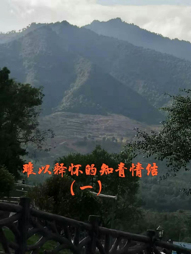 难以释怀的知青情结,60年代的知青情结