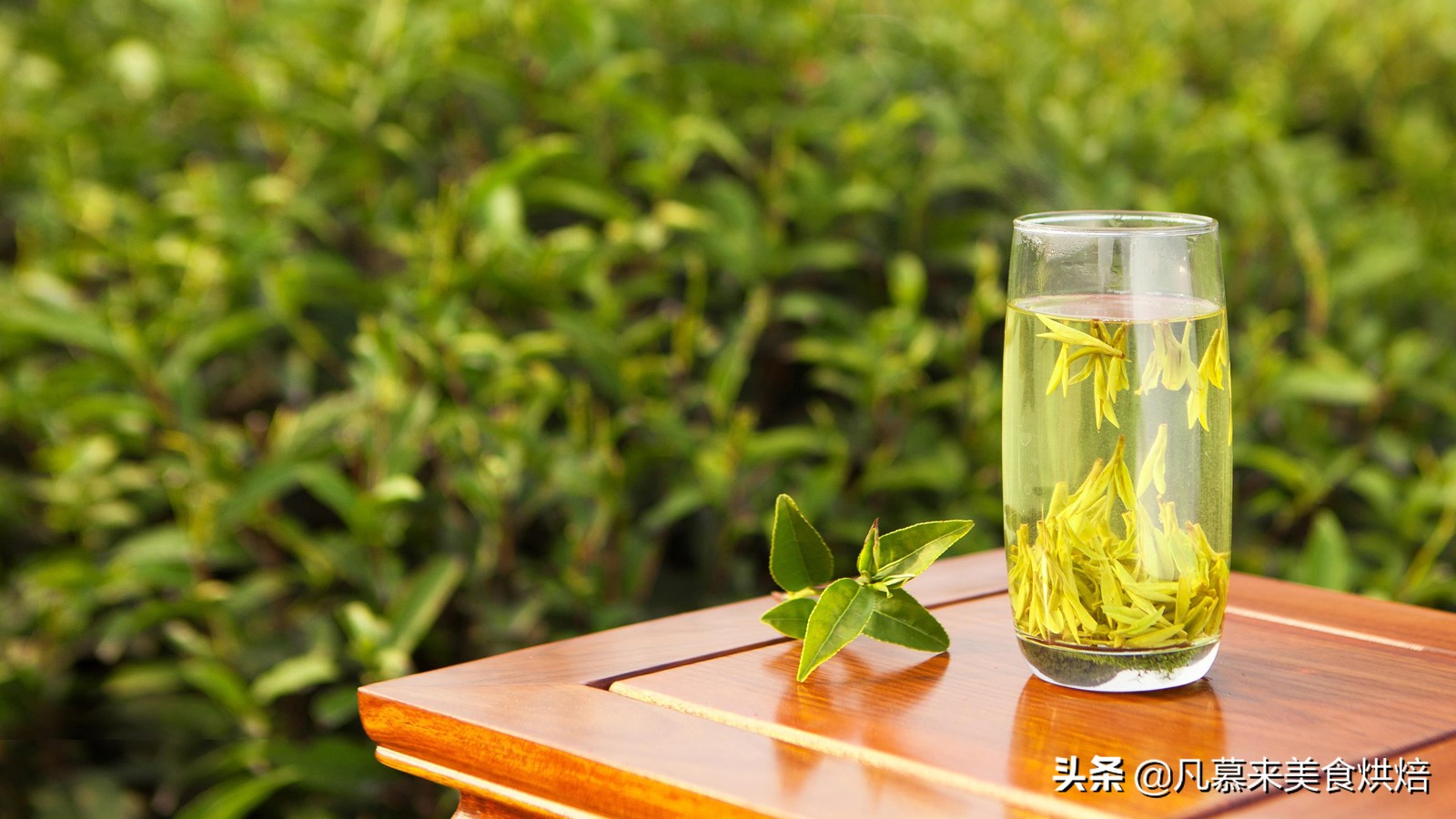 什么品种的茶叶最好喝,中国十大名茶哪种茶叶最好喝