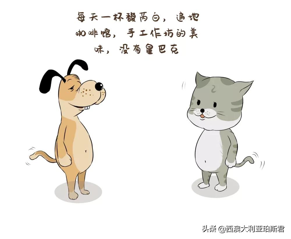 这个梗火爆全网？既然提到privilege，那就说说西澳人的高傲在哪