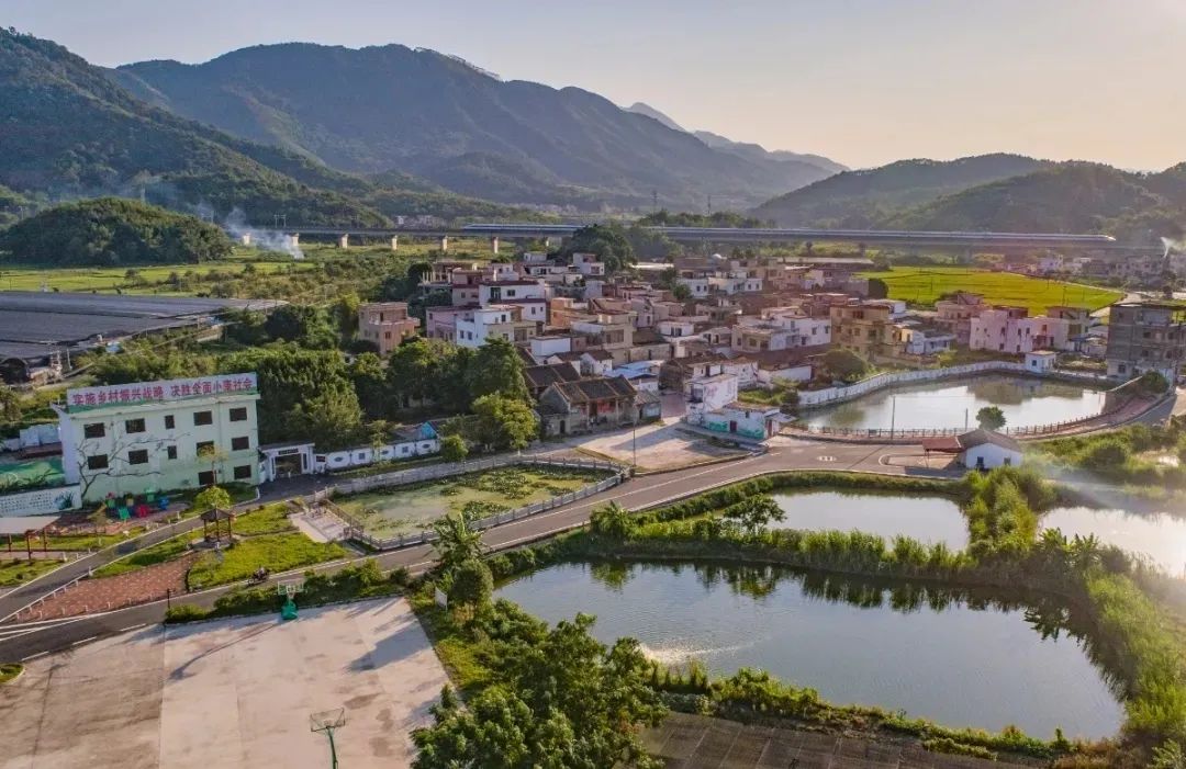 四会为什么发展这么好,四会市现状