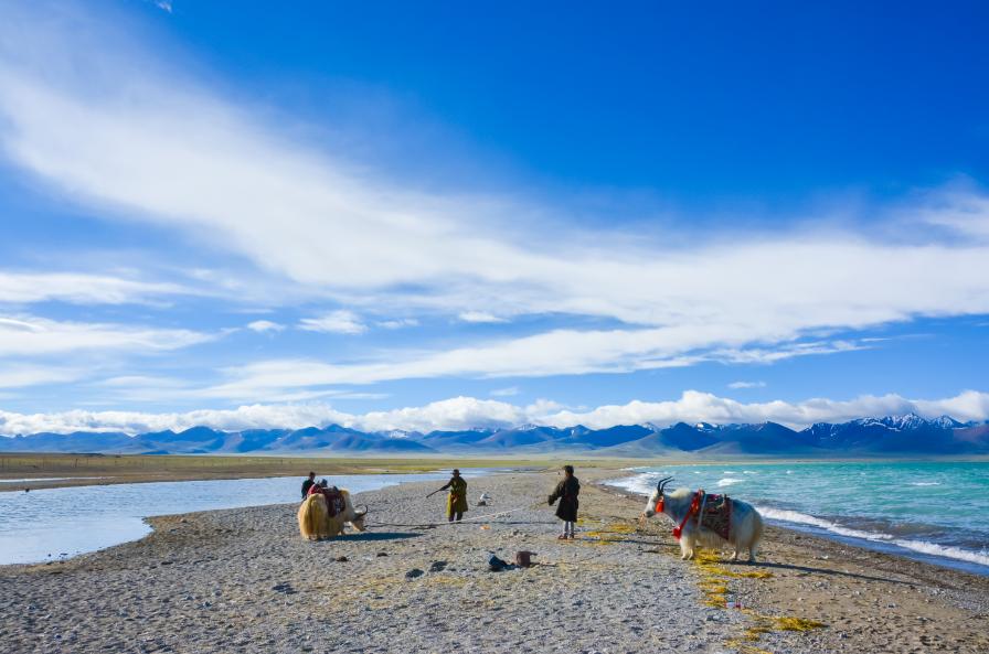 拉林铁路有哪些高铁站,拉林高铁美景