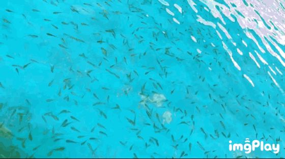 苏州乐园四季恒温水乐园预约,苏州乐园四季悦水游村