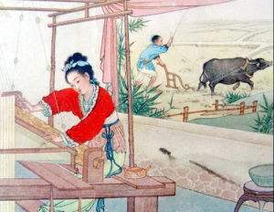 补气补肾是扶阳吗,滋阴补肾扶阳固本中成药