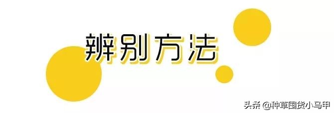 一招教你识别假代购,美国直邮代购是真是假