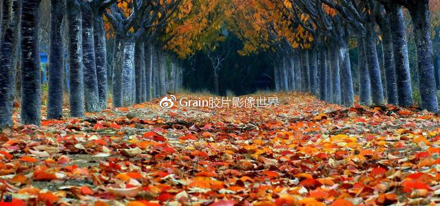 一篇摄影散文,关于摄影主题的文章