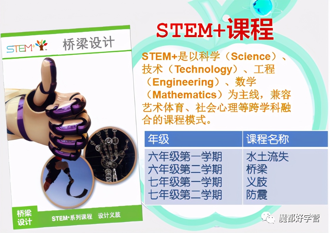 徐汇区一贯制学校,徐汇区九年制一贯制学校