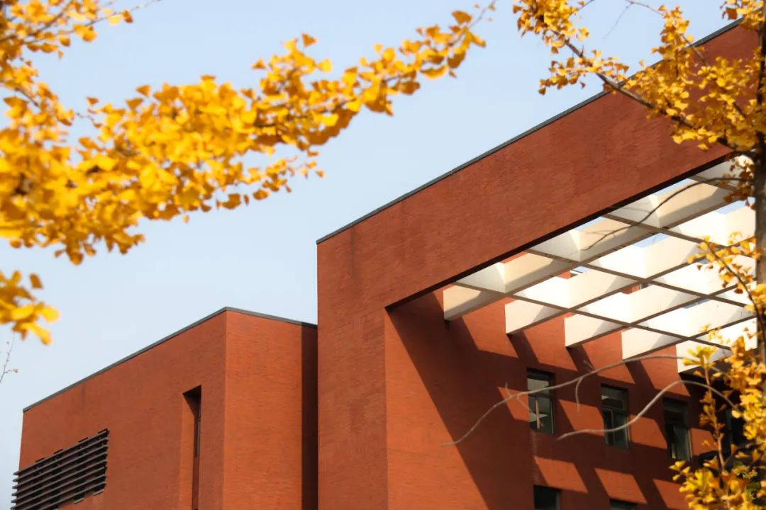 醉美大工秋|读书不觉已秋深，____________