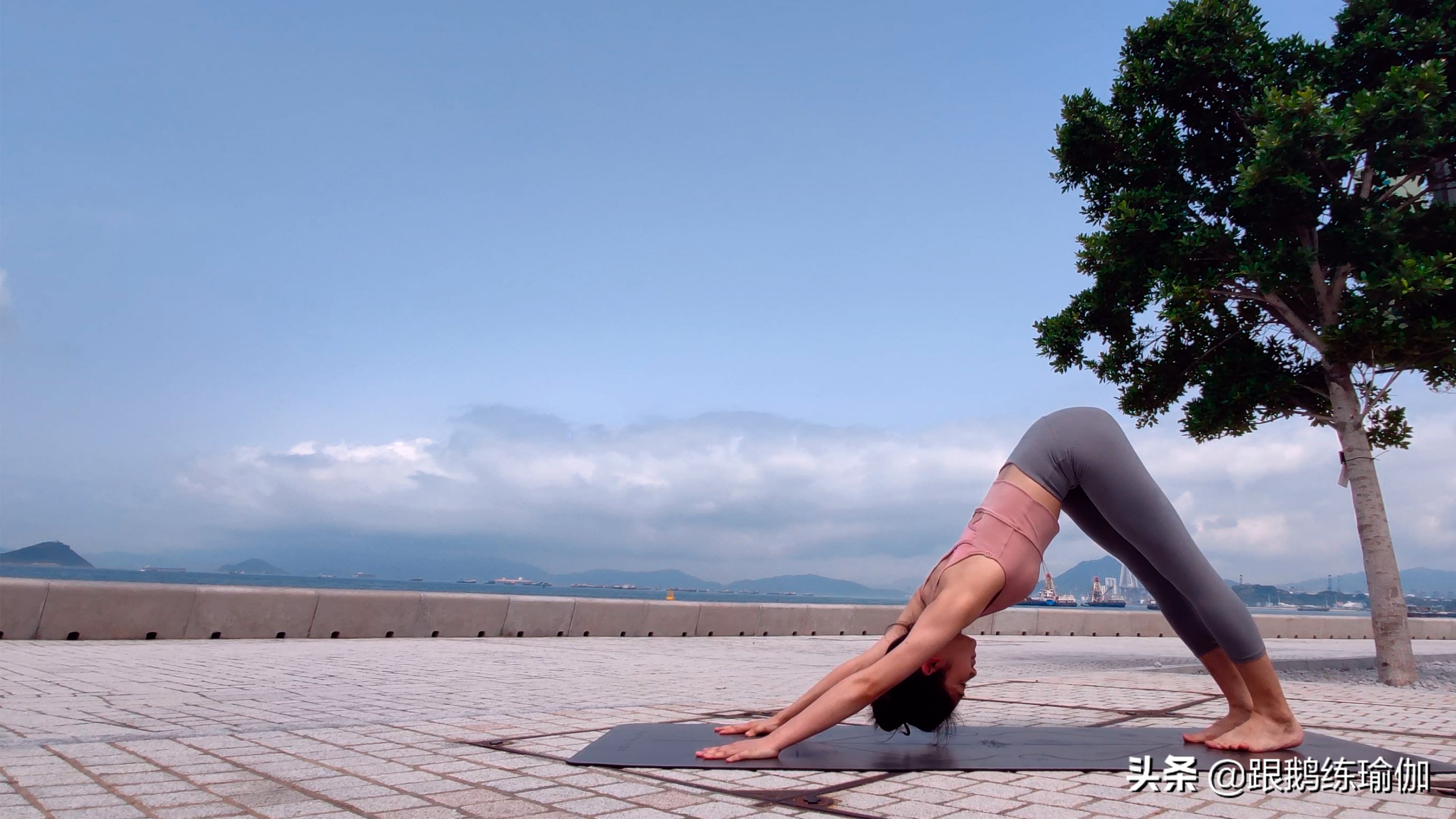 拜日a式注意要点,拜日式a完整版口令