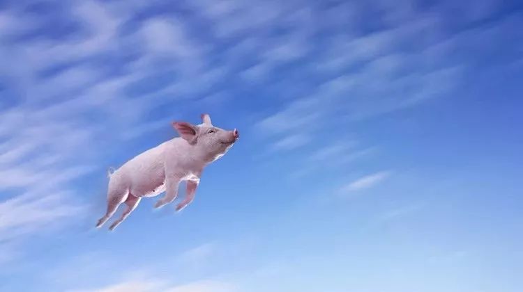 众筹存在的风险分析,消失的众筹都有哪些