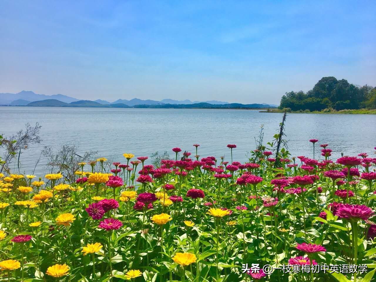 寒假英语单词快速学习,寒假英语学习表